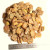 1000 g +720.00€