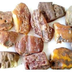 Raw Baltic Amber Wholesale