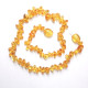 Polished Nuts Style Honey Baltic Amber Teething Necklace