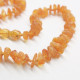 10 Raw Split Style Honey Baltic Amber Teething Necklace Wholesale Bluk