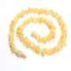 Raw Split Style Milky (ROYAL) Teething Necklace