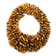 10 pcs Polished Nuts Style Multicolor Baltic Amber Necklaces