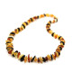 10 pcs Polished Nuts Style Multicolor Baltic Amber Necklaces