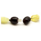 Polished Bean Style Cherry / Bitter Color Baltic Amber Adult Necklace