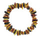 Polished Split Style Multi color Baltic Amber Adult Elastic Healing Bracelet 