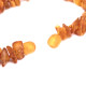 Raw Split Style Honey Baltic Amber Adult Healing Bracelet Elastic