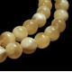 Natural Baltic Amber Tasbih  Misbaha - Muslim Prayer Beads with Tassel