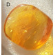 Small Baltic amber piece with insect inclusion in transparent plastic box  