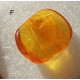 Small Baltic amber piece with insect inclusion in transparent plastic box  