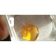 Small Baltic amber piece with insect inclusion in transparent plastic box  