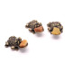 10 Chinese Money Frog With Baltic Amber