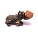 10 Chinese Money Frog With Baltic Amber