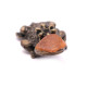 10 Chinese Money Frog With Baltic Amber