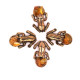 2026 year Chinese Money Frog With Baltic Amber