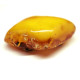Antique Vintage USSR Period Butterscotch Baltic Amber Brooch / Pin 54