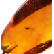 Baltic Amber Pendant with Insect Inclusion and Sterling Silver