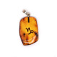 Honey Color Baltic Amber Amulet Pendant  With Zodiac Signs 