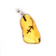 Honey Color Baltic Amber Amulet Pendant  With Zodiac Signs 