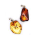 Honey Color Baltic Amber Amulet Pendant  With Zodiac Signs 