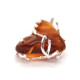 Cognac Baltic Amber Pendant in Metal Frame