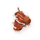 Cognac Baltic Amber Pendant in Metal Frame
