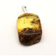 Baltic Amber Pendant Light Green Shade Color With Plants Inclusions ST Silver Hook