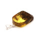 Baltic Amber Pendant Light Green Shade Color With Plants Inclusions ST Silver Hook