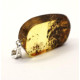 Baltic Amber Pendant Light Green Shade Color With Plants Inclusions ST Silver Hook