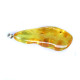 Natural Shape Baltic Amber Pendant Lemon Color
