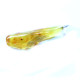 Natural Shape Baltic Amber Pendant Lemon Color