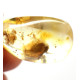 Yellow Baltic Amber Pendant with Sterling Silver 925