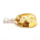 Yellow Baltic Amber Pendant with Sterling Silver 925